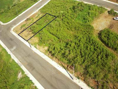 Terreno para Venda, em Concrdia, bairro Rural