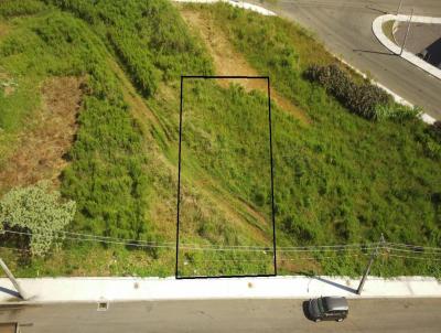 Terreno para Venda, em Concrdia, bairro Rural