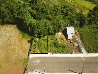 Terreno para Venda, em Concrdia, bairro Rural