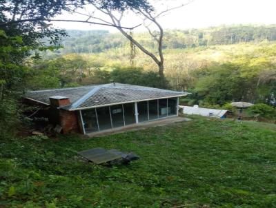 Stio / Chcara para Venda, em Concrdia, bairro Rural