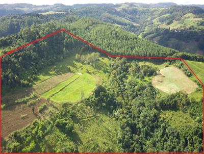 rea Agrcola para Venda, em Arabuta, bairro Sc-154