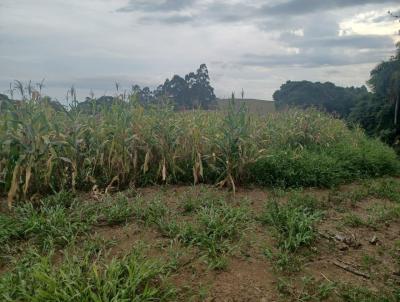 rea Agrcola para Venda, em Irani, bairro Centro