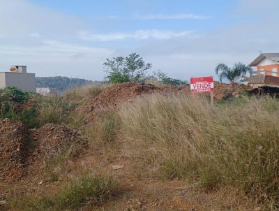 Terreno para Venda, em Concrdia, bairro Colibri