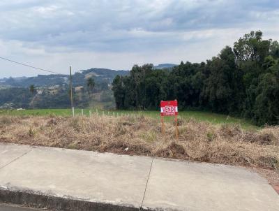 Terreno para Venda, em Concrdia, bairro So Cristvo