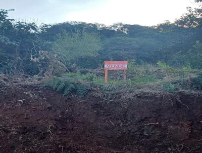 Terreno para Venda, em Concrdia, bairro Santa Cruz