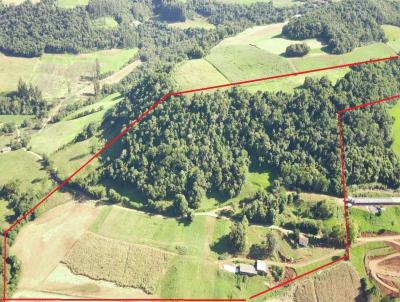 rea Agrcola para Venda, em Lindia do Sul, bairro Rural