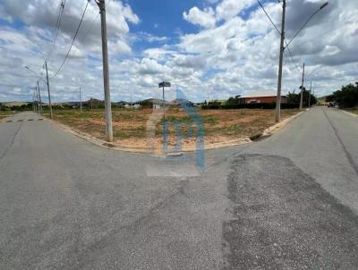 Lote para Venda, em Periquito, bairro Centro