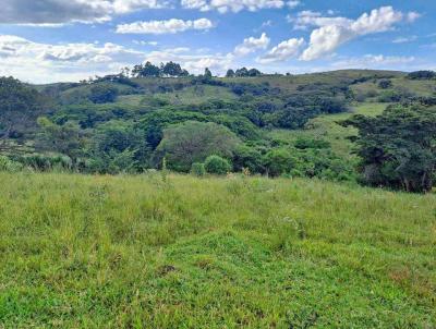 Fazenda para Venda, em Andrelndia, bairro Zona Rural