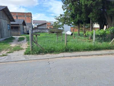 Terreno para Venda, em Florianpolis, bairro So Joo do Rio Vermelho