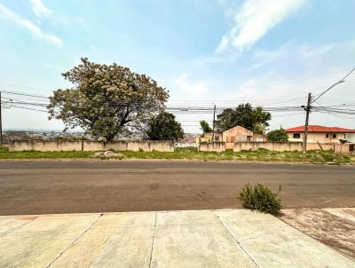 Terreno para Venda, em , bairro Jardim Carvalho