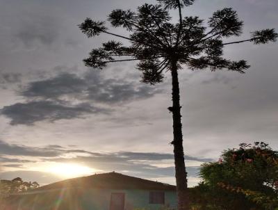 rea Rural para Venda, em Chuvisca, bairro ., 2 dormitrios, 1 banheiro