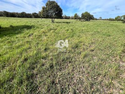 Fazenda para Venda, em Quissam, bairro Carmo, 2 dormitrios, 1 banheiro