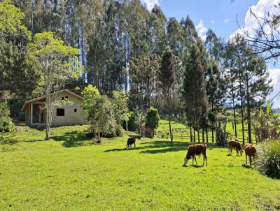 Stio para Venda, em Agrolndia, bairro Serra dos Alves, 2 dormitrios, 1 banheiro, 1 vaga