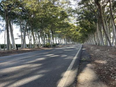 Chcara para Venda, em Cristais Paulista, bairro ESTCIA TROPICAL