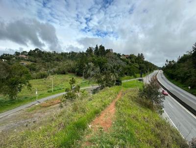 Terreno para Venda, em Juiz de Fora, bairro Salvaterra