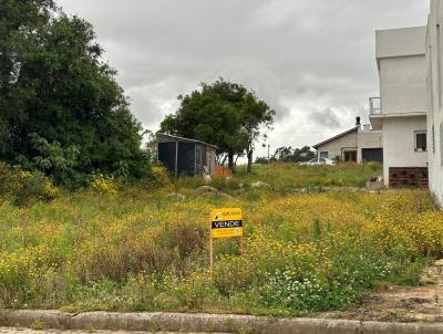 Terreno Urbano para Venda, em Canguu, bairro Teixeiras