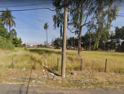 Terreno para Venda, em Franca, bairro Parque Das rvores