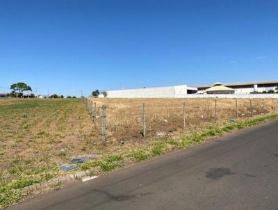 Terreno para Venda, em Franca, bairro Parque Das rvores