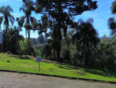 Terreno para Venda, em Nova Petrpolis, bairro Pinhal Alto