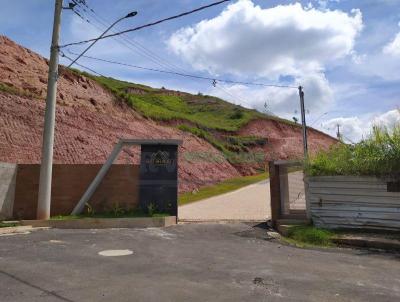 Loteamento para Venda, em Juiz de Fora, bairro Manoel Honrio