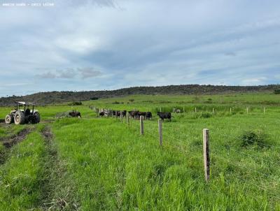 Fazenda para Venda, em Alta Floresta, bairro Rural