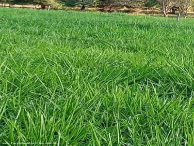 Fazenda para Venda, em Corinto, bairro 