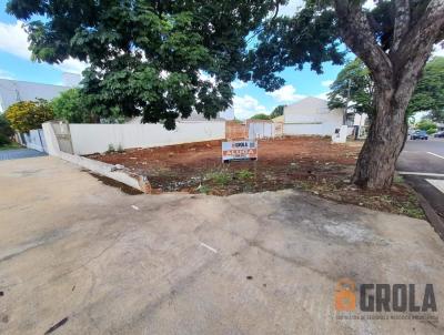 Terreno para Locação, em Campo Mourão, bairro Centro