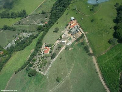 Fazenda para Venda, em Crucilndia, bairro REA RURAL