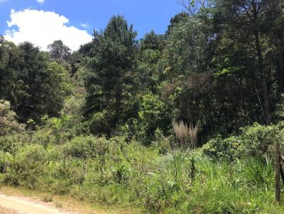 Terreno para Venda, em Campos do Jordo, bairro Atalaia