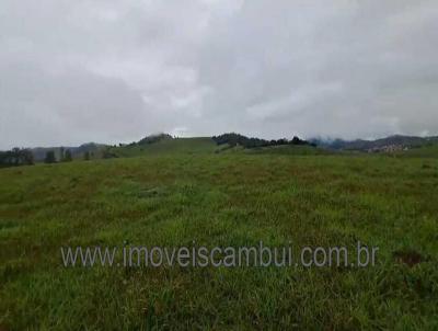 Fazenda para Venda, em So Jos do Alegre, bairro 