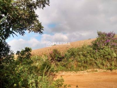 Stio / Chcara para Venda, em Prados, bairro Vitoriano Veloso