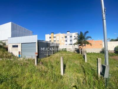 Terreno para Venda, em Caxias do Sul, bairro So Luiz