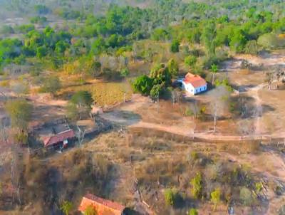 Fazenda para Venda, em So Gonalo do Abaet, bairro ZONA RURAL