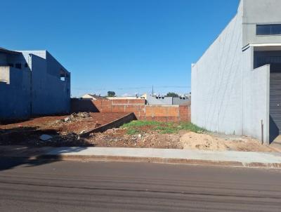 Terreno Comercial para Venda, em Sarandi, bairro JARDIM ANA ELIZA