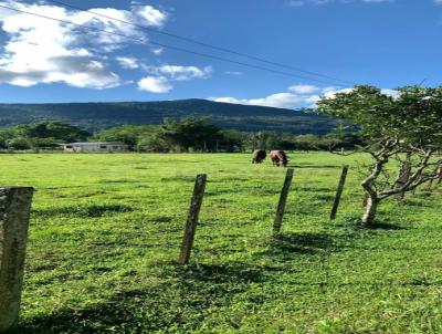 Terreno para Venda, em Araric, bairro Vila Rech