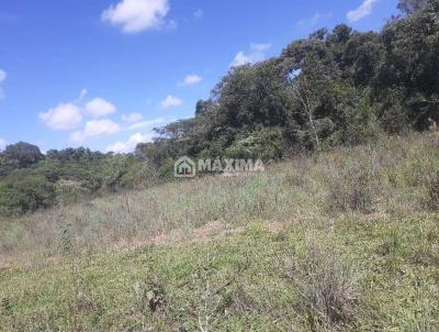 Stio / Chcara para Venda, em Madre de Deus de Minas, bairro guas Santas