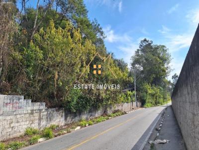 Terreno Industrial para Venda, em Itaquaquecetuba, bairro Jardim Luana