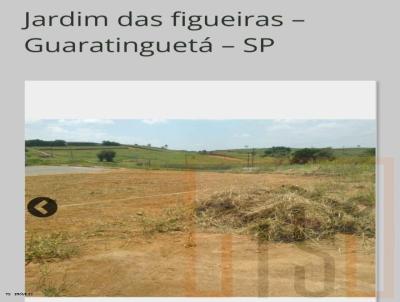 Terreno para Venda, em Guaratinguet, bairro Pedrinha