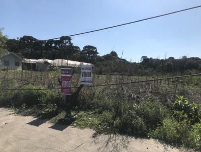 Terreno para Venda, em Rio Negro, bairro TIJUCO PRETO