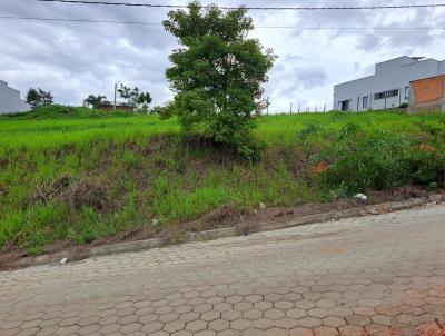 Lote para Venda, em Nova Vencia, bairro Jardim ngela