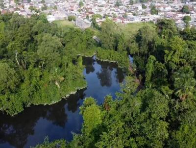 Terreno Urbano para Venda, em Belm, bairro Tenon