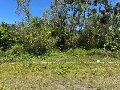 Terreno para Venda, em Itanham, bairro Jardim Fenix