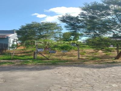 Terreno para Venda, em Sapiranga, bairro Floresta