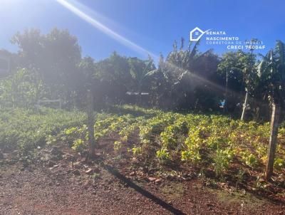 Terreno para Venda, em Crissiumal, bairro CENTRO