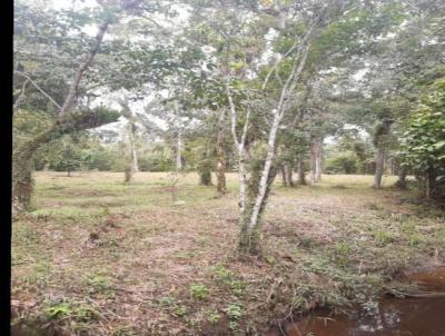 Terreno para Venda, em Itanham, bairro Parque Vergara