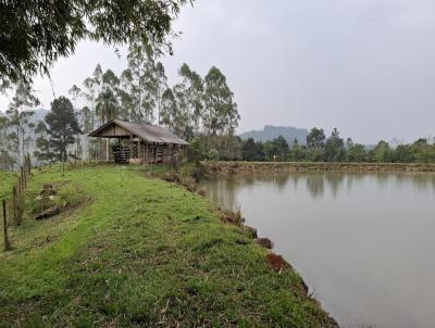 Stio para Venda, em Brao do Trombudo, bairro guas Sulfurosas