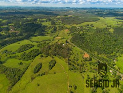 Stio / Chcara para Venda, em Triunfo, bairro rea rural, 4 dormitrios, 2 banheiros, 1 vaga