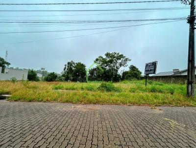 Terreno para Venda, em Santa Cruz do Sul, bairro Joo Alves