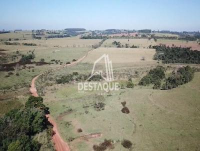 Fazenda para Venda, em Regente Feij, bairro Rural