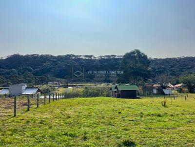 Terreno para Venda, em Urubici, bairro guas Brancas